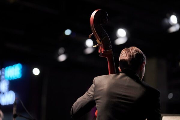 jazzman double bass player contrabass playing 345343 829