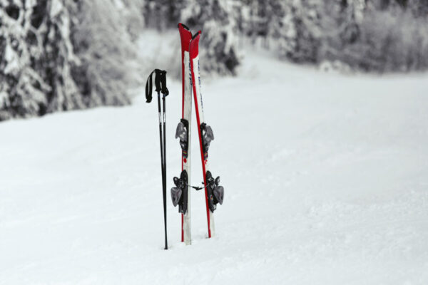 red and white skis put in the snow in forest