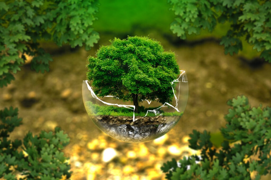 environmental protection nature conservation ecology eco bio glass ball forest green 1104676