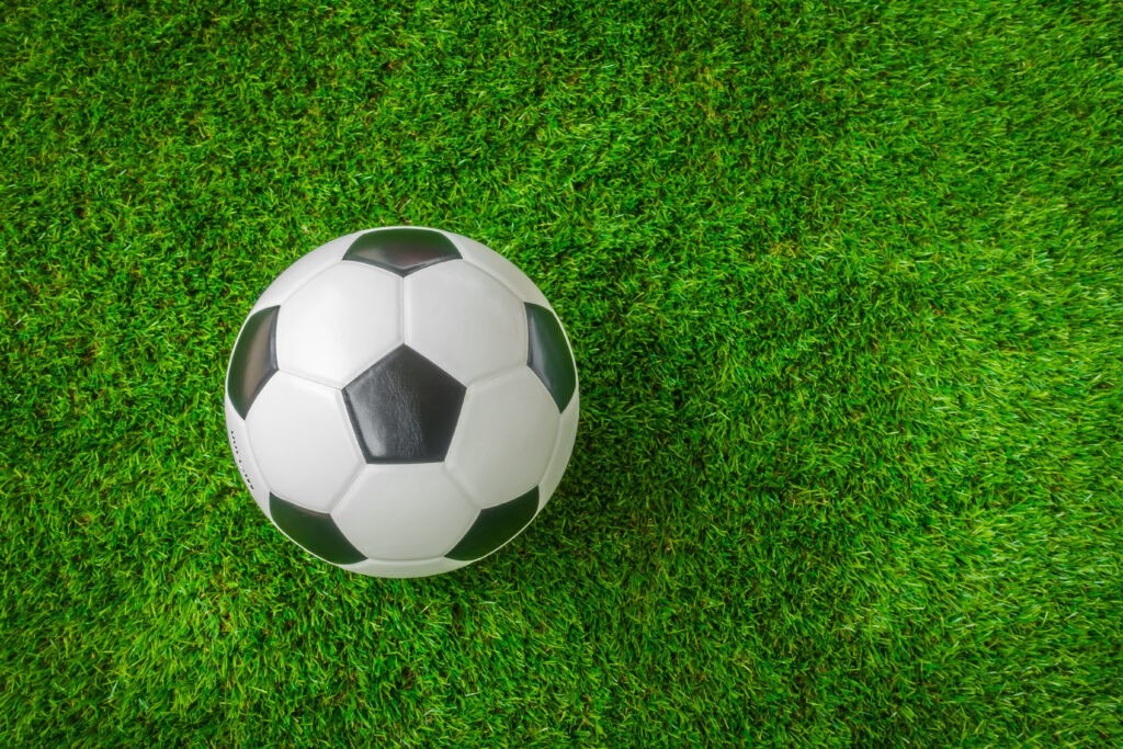 soccer ball on green grass .