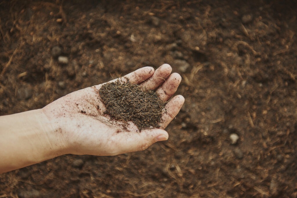 woman holding soil in her hand