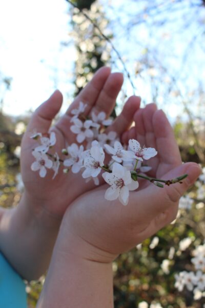 Цветы и руки