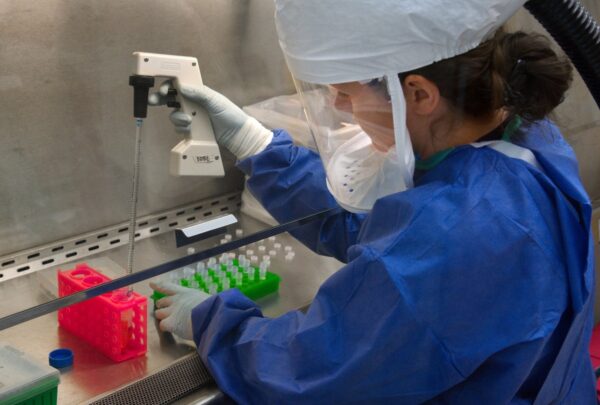 microbiologist scientist woman pathologist doctor pipette transfer virus h7n9 bottles 626157