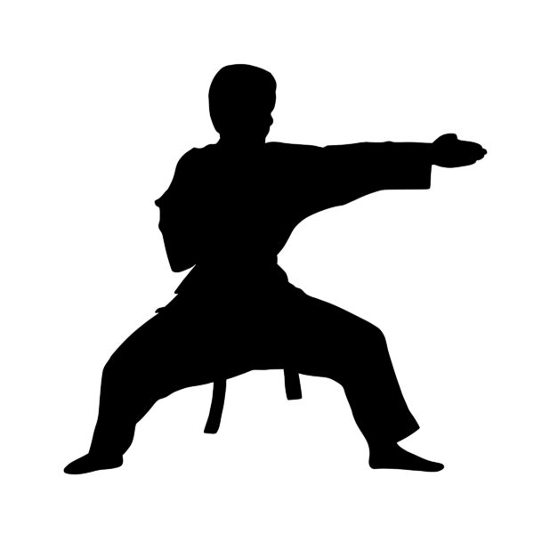 silhouette karate fight strong kimono ready 1452111 pxhere.com