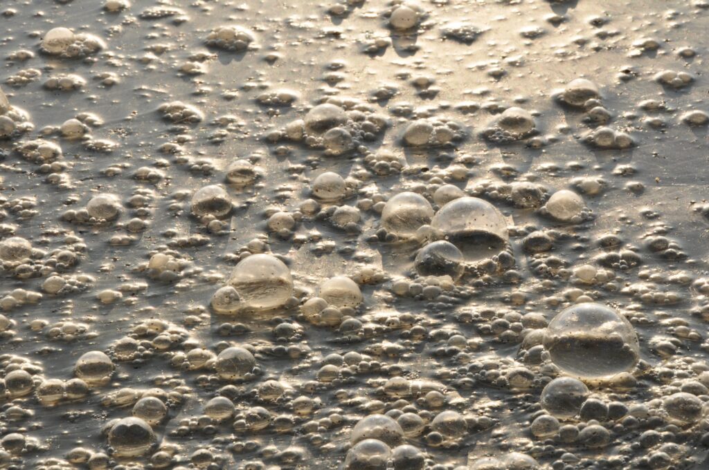 water sand rock texture footprint environment 737041 pxhere.com