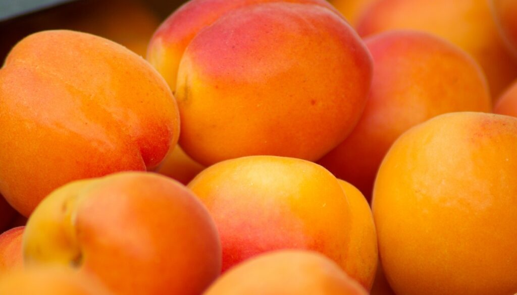 fruit apricots provence vitamins 718841.jpg!d