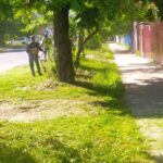 На восьми улицах Калуги покосят траву на неделе