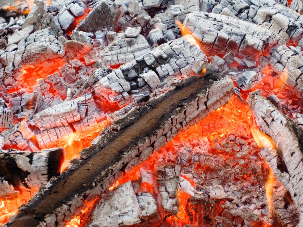 wood food flame fire fireplace fish 838993 pxhere.com