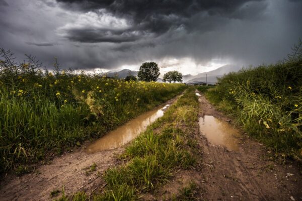 country road dirt road rural countryside clouds field landscape nature 1096294