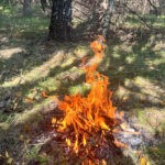 В Думиничском районе любителя костров в лесу оштрафовали на 15000