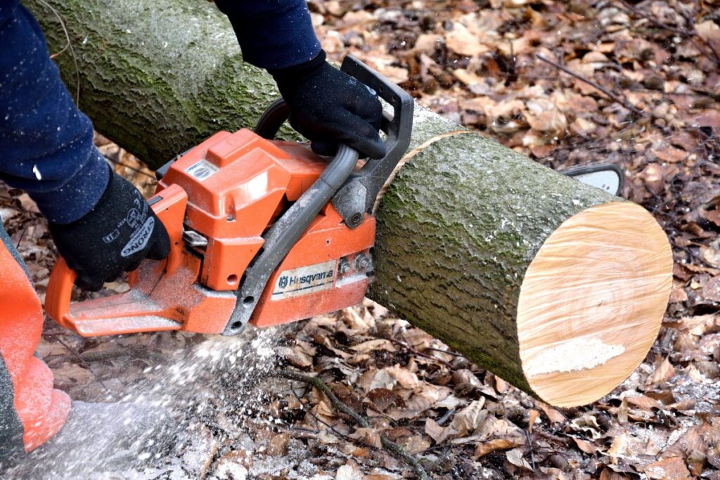cutting wood lumberjack chainsaw woodworks tree trunks lumber 1213661