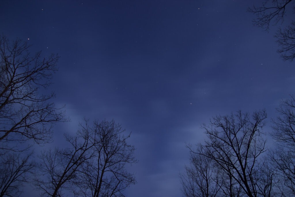 night sky stars trees silhouettes space dark blue 751997