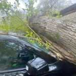 Сильный ветер в Калуге валит деревья на автомобили