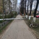Берёза упала на тротуар на улице Энергетиков в Балабанове