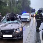 Автомобиль в Юхновском районе сбил лося