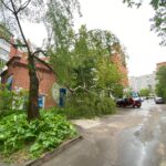 На улице Большевиков в Калуге дерево упало на парковку